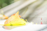 也在通过 也在通过