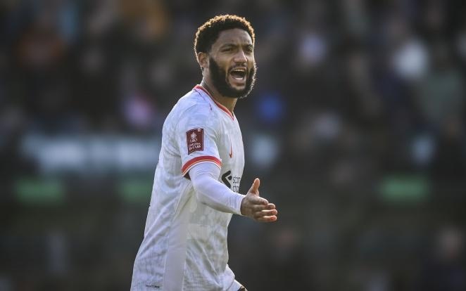 整个场地 整个场地