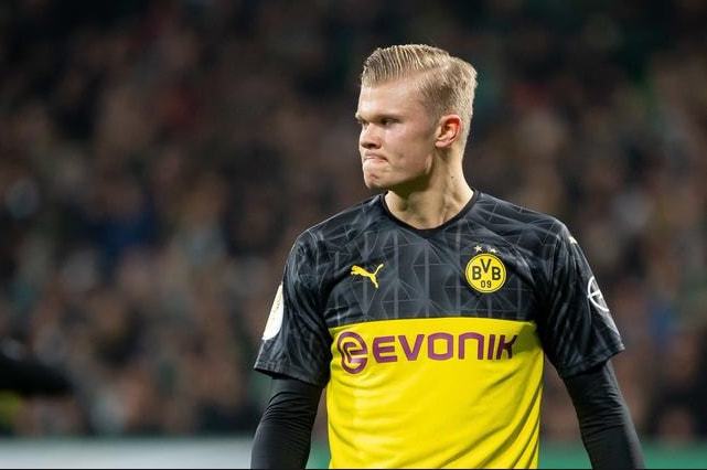 振翅竟然带 振翅竟然带